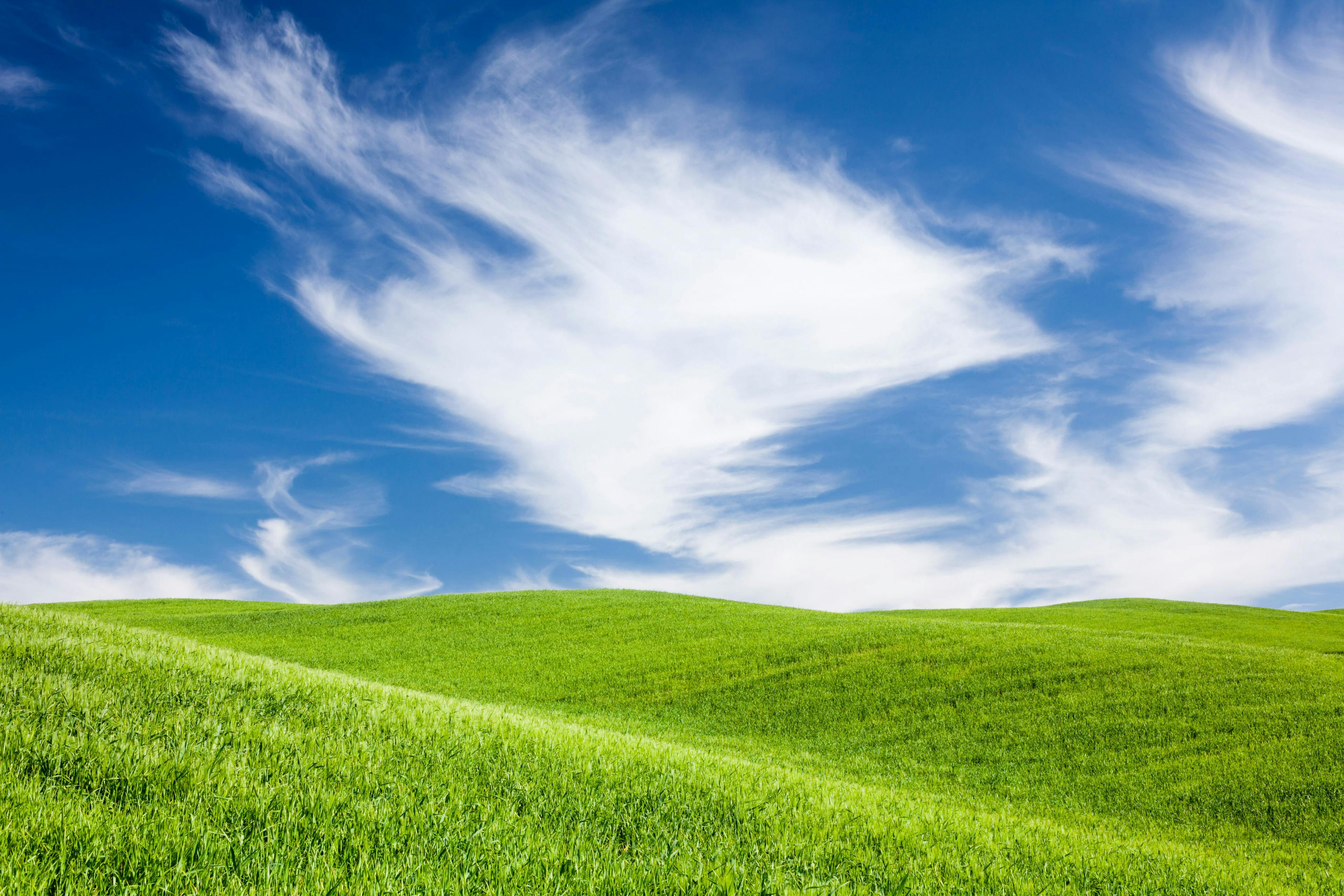 A grassy hill below a bright blue sky with clouds